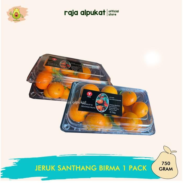 

BisaInstan- Jeruk Santang Madu Orange Kiloan - Raja Alpukat