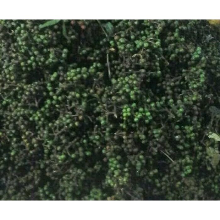 

NewZbgt- Andaliman 100 gram