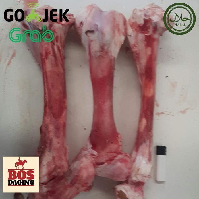 

Tulang Sumsum Sapi Besar Dijamin Fresh Segar