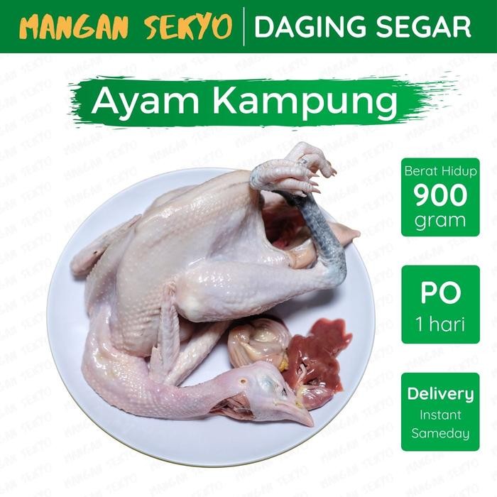 

Ayam Kampung Segar / Ayam Kampung Fresh 900Gr