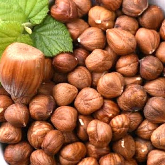 

HAZELNUT MENTAH / RAW HAZELNUT 500 GRAM