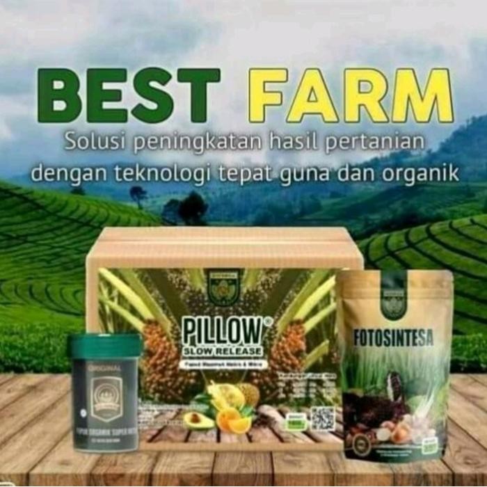 Pupuk Pillow Slow Release Per Box