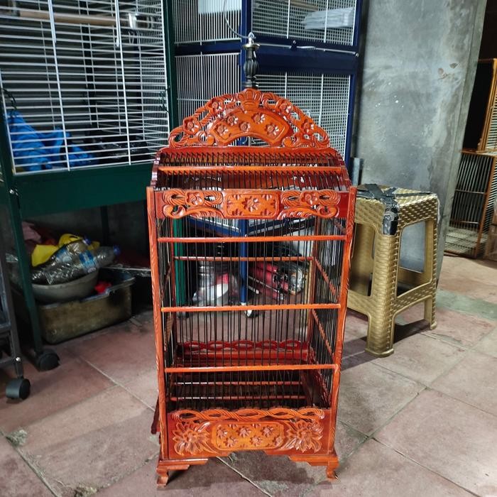 sangkar burung robin,kenari,kinoy,srdc,dll ukiran terlaris.