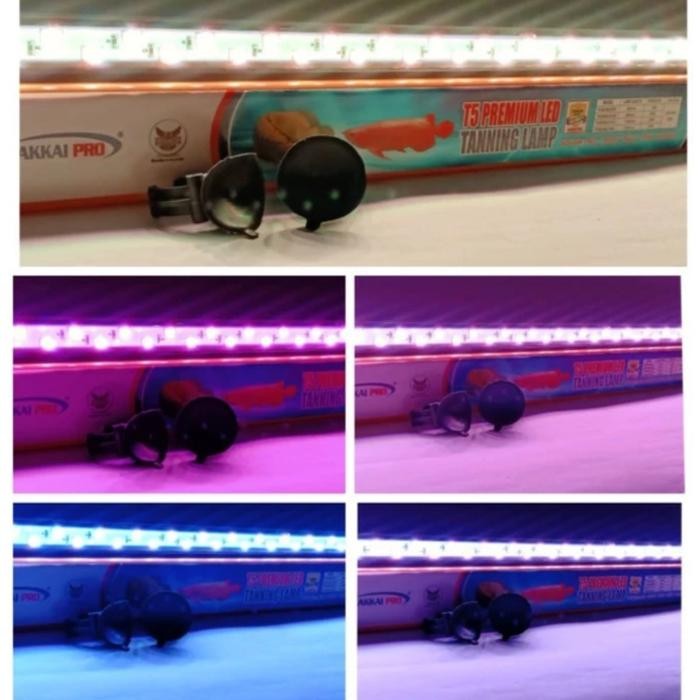lampu tanning arwana arowana sakkai sakai pro T5 double 1000