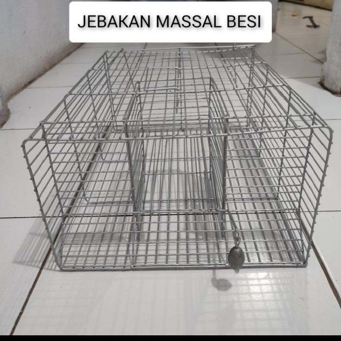 Perangkap Tikus Massal Perangkap Tikus Jebakan Tikus Senteg Tikus