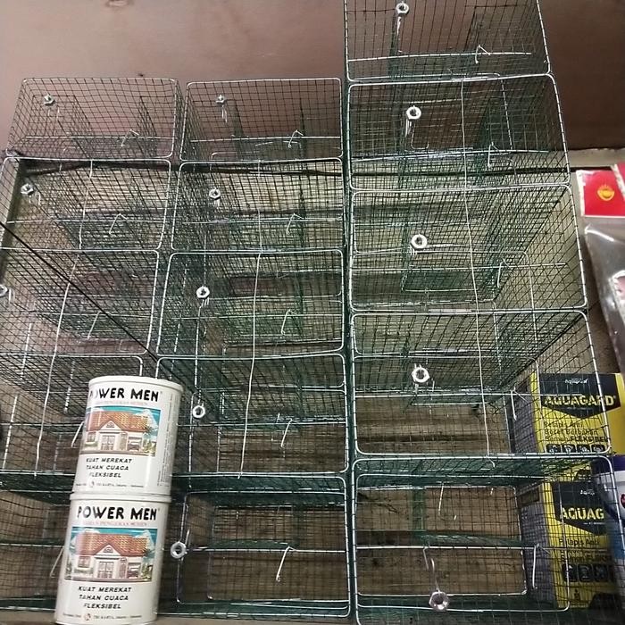 perangkap tikus massal jumbo jebakan tikus