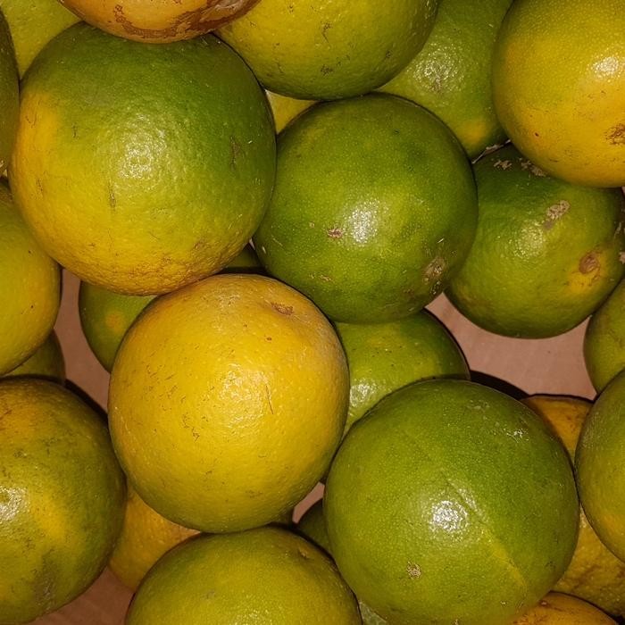 

New JERUK BABY. MANIS. BANYAK AIR. MURAH. FRESH SEGAR. ENAK.