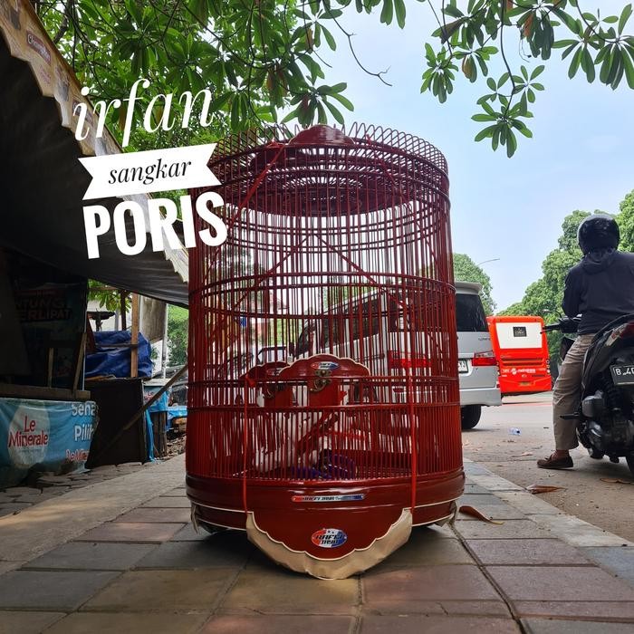 rafi jaya reborn no2 terbaru