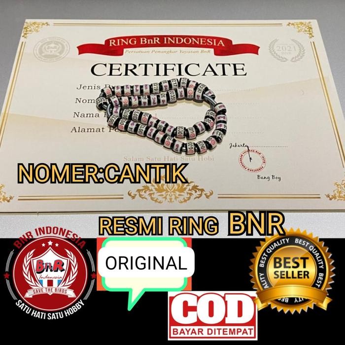 RING BNR RESMI PLUS SERTIFIKAT KHUSUS MURAI terbaru