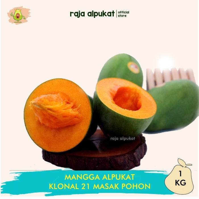 

InstanTanyadulu- Mangga Alpukat Klonal 21 Kiloan Asli Bangil Pasuruan-Raja Alpukat