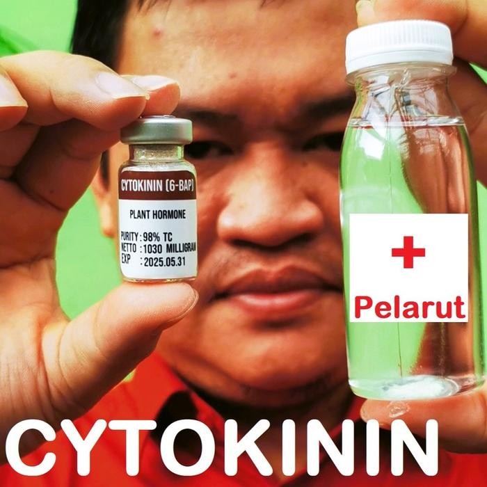Thinkerbelllll Hormon Cytokinin Sitokinin 6-Bap Murni Serbuk Powder Botol Vial Steril