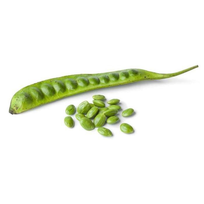 

Petai Padi Pete Super Kualitas Bagus *