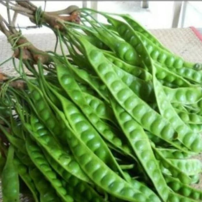 

PETAI/PETE[1keris,100g] tukang sayur jkt *