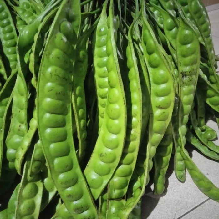 

pete petai super lalapan segar termurah *