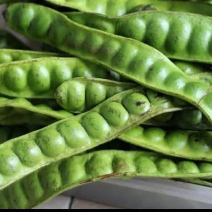 

Petai / Pete GRADE A *