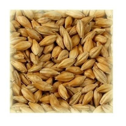 

Best Seller Malt Chteau Maris Otter 5.0-7.0 Ebc