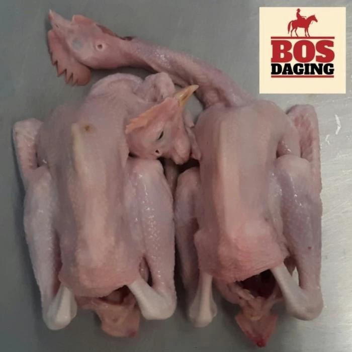 

BeliSkrg,KirimHariini- Daging ayam kampung pejantan utuh dijamin fresh segar