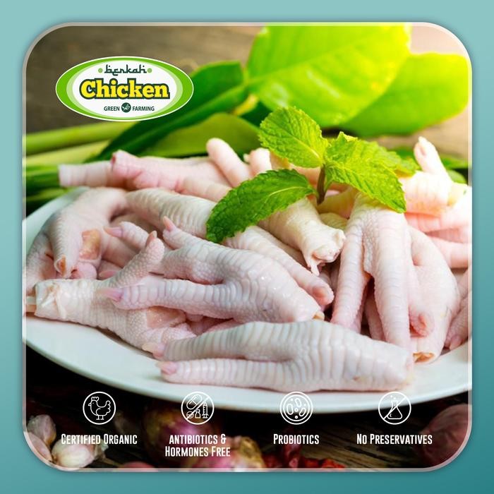 

BeliSkrg,KirimHariini- Ayam Broiler Ceker Organik Berkah Chicken