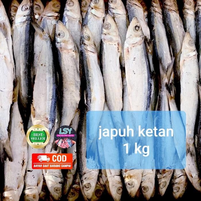 

PastikanDikirimLgsg- ikan asin japuh ketan 1kg