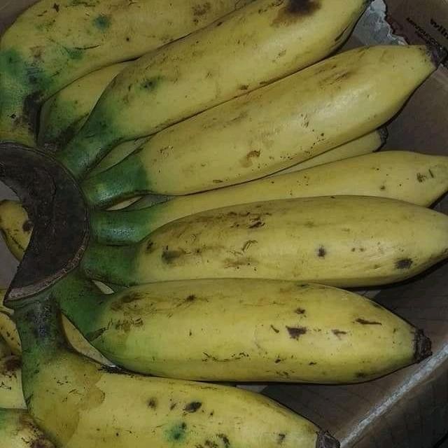 

PastikanDikirimLgsg- pisang uli super