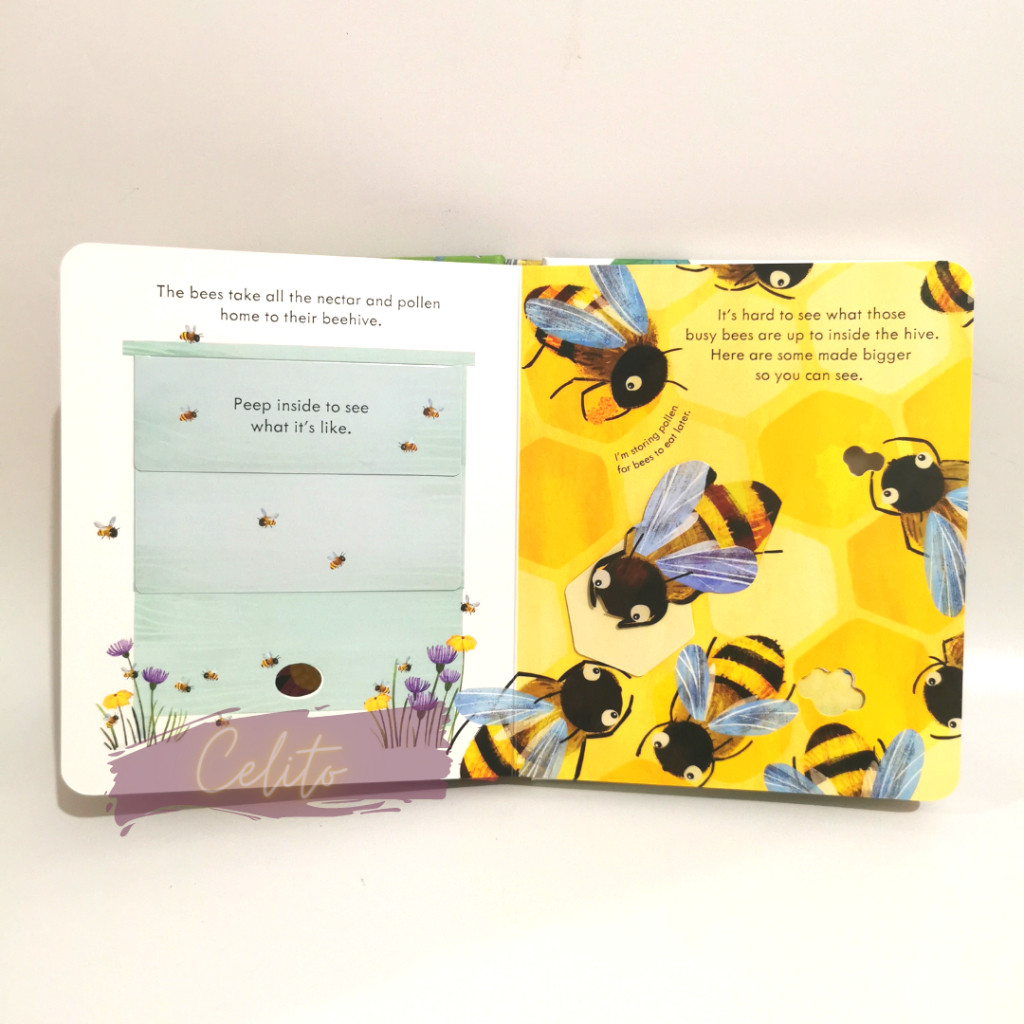 [Celito] Usborn3 Peep Inside hive - Hard Cover Book - Lift The Flap - Buku Anak Lebah
