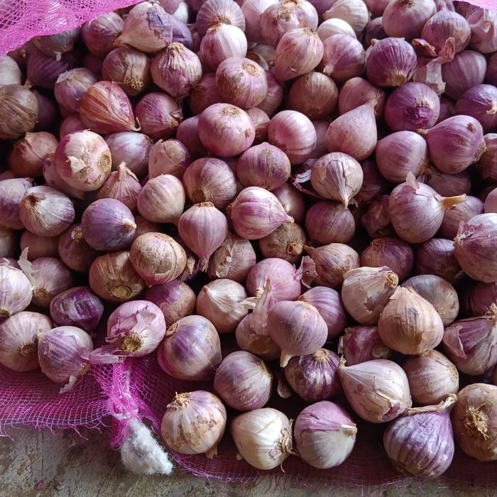 

BAWANG PUTIH TUNGGAL LANANG/FRESS 2KG SEDANG