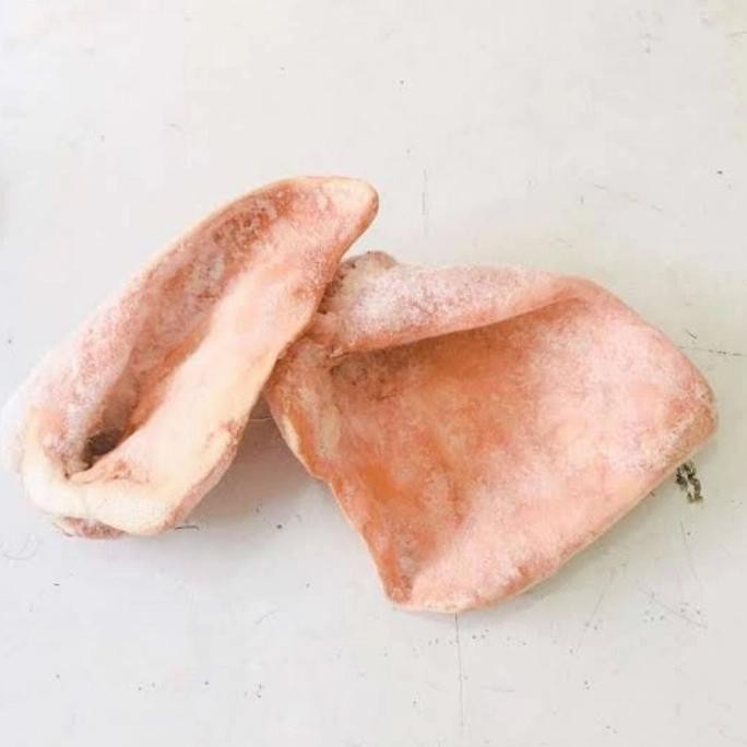

BnyKBonusBelidiMari- Kuping Babi sepasang 2pcs