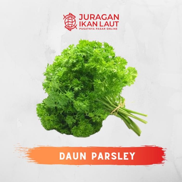 

BnyKBonusBelidiMari- Daun Parsley Segar Berkualitas - 1 Ikat