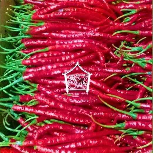 

BnyKBonusBelidiMari- Cabe Merah Keriting 1 Kg