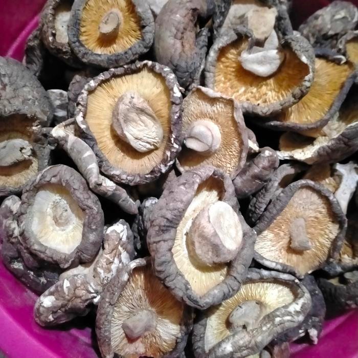 

BnyKBonusBelidiMari- Jamur Shitake Kering / Hioko Tipis Ringan Kualitas No 1 (100gr)