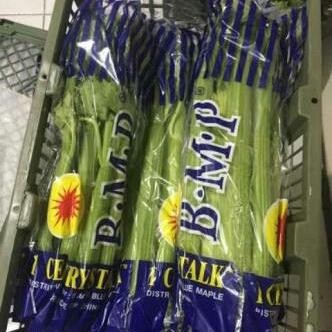 

BnyKBonusBelidiMari- 1000gr. seledri stick/ Celery import fresh