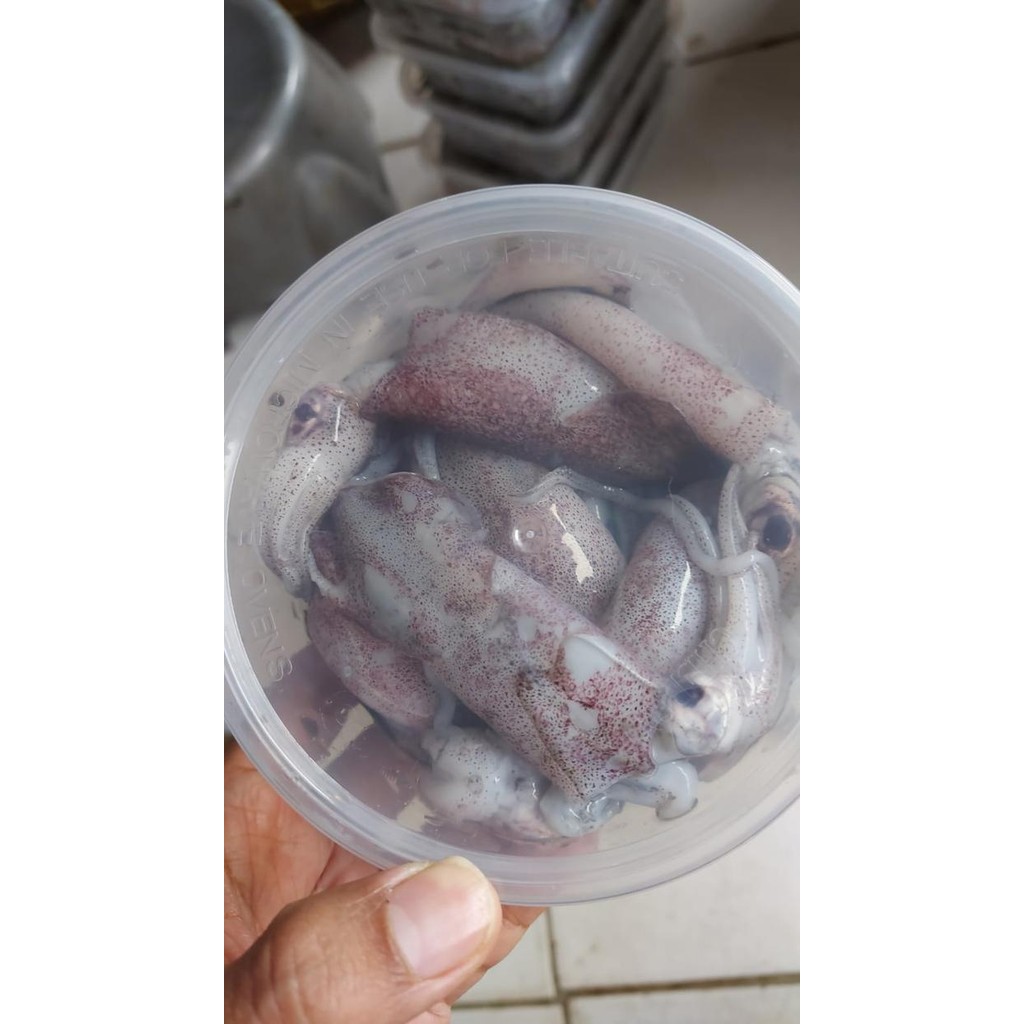 

PastiFreShNya- CUMI SEGAR 500gram