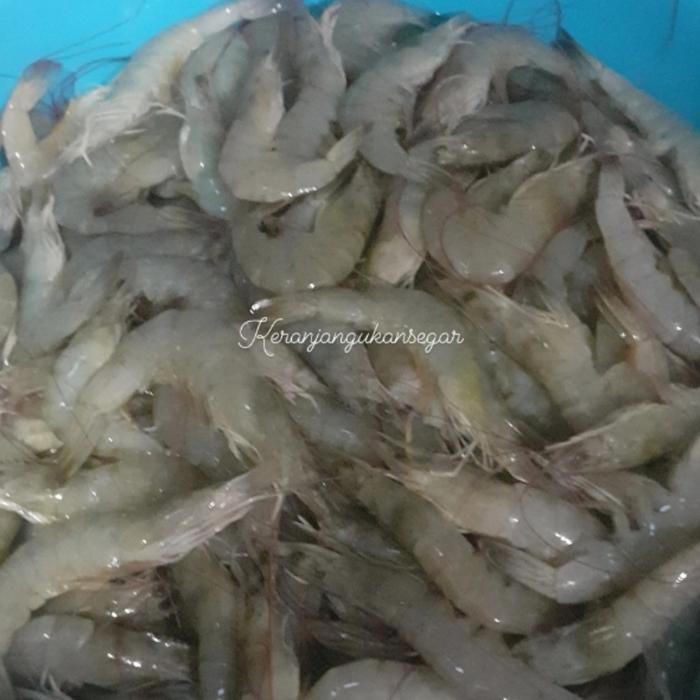 

PastiFreShNya- udang vaname 1kg segar bukan frozen free minyak goreng 1liter