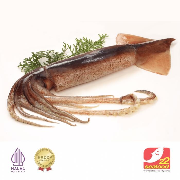 

BnyKBonusBelidiMari- Cumi Kondom 1kg / Cumi Besar Utuh / Frozen Squid / Seafood 22