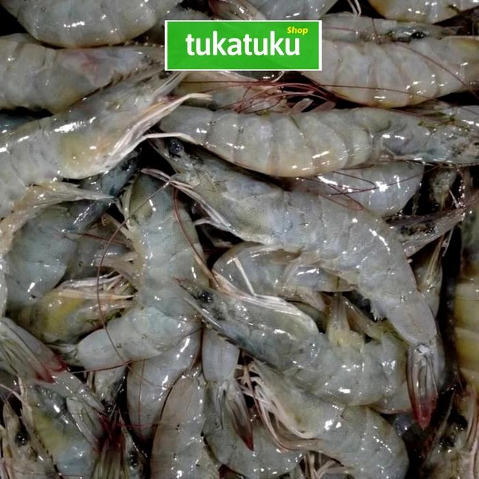 

BnyKBonusBelidiMari- UDANG VANAME SEDANG (500 GRAM)