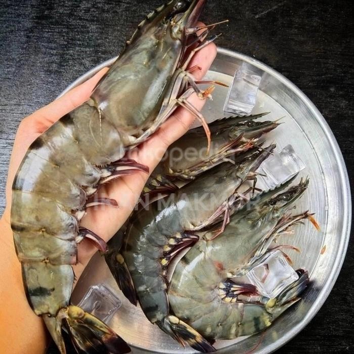 

PastiFreShNya- UDANG PANCET FRESH SEGAR 1kilogram