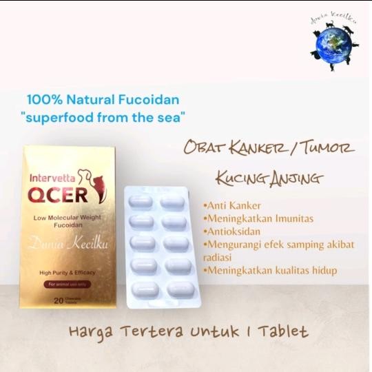 Intervetta Qcer Obat Kanker Tumor Anjing Kucing Per Kapsul