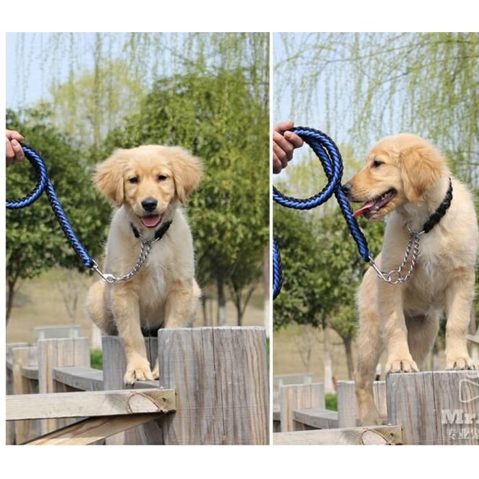 TALI RANTAI ANJING BESAR / dog leash / kuat tebal aman