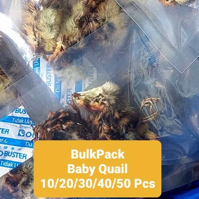 BABY QUAIL Jerky Dog Snack TREAT - Anak Burung Puyuh Cemilan Anjing