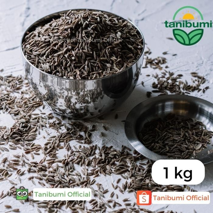 

New Cumin Seed 1kg Jintan Putih Jeera Biji Jinten Premium