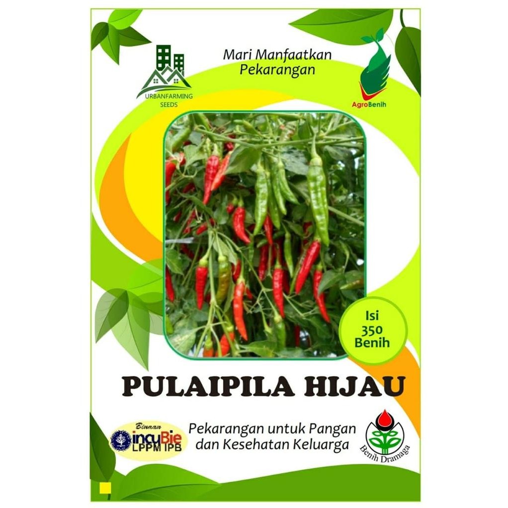 New Benih Cabai Rawit Hijau Merunduk PULAIPILA HIJAU