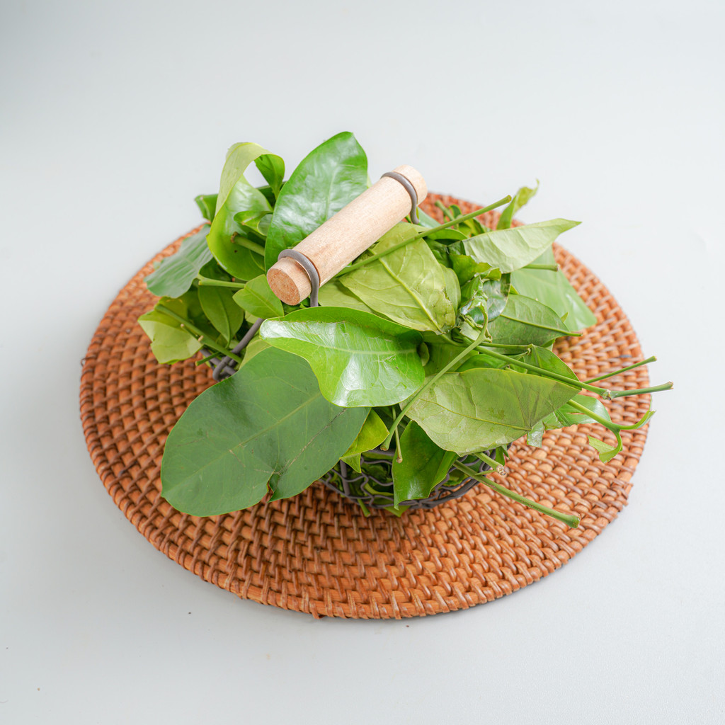 

Daun Melinjo Konvensional 100 gram