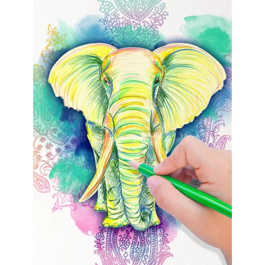 

24 Colors Double Headed Pencils For Professional Drawing Sketching And Pastel Art Premium Student