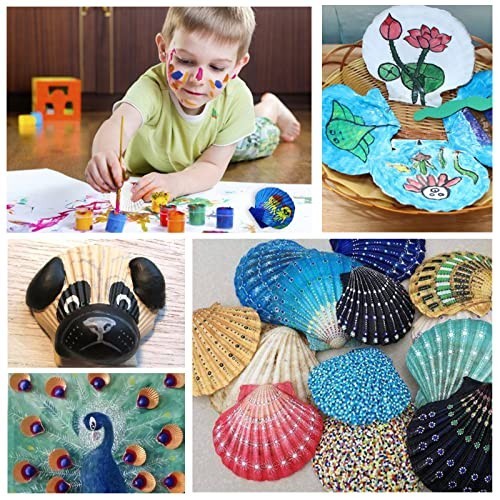 

Large Scallop Shells for Baking, 6pcs 4-5 Inches Seashells Terlaris