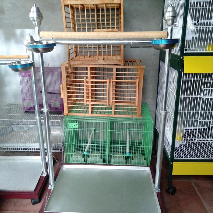 Pawfect Grooming Tangkringan Burung Kakak Tua