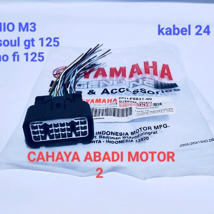PREMIUM SOKET ECU ECCU CDI MIO M3 MIO SOUL GT 125 FINO FI 125 KABEL 24 ORIGINAL PRODUK