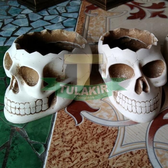 PREMIUM POT VAS BONSAI Tengkorak Tulakir Fiberglass