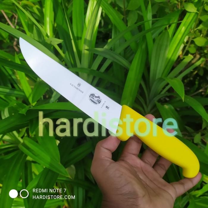 PREMIUM Pisau Sembelih 16 cm Victorinox Butcher Knife 5.5208.16 Handle Kuning