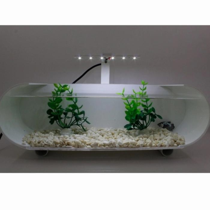 Pawretty- aquarium mini akrilik unik aquarium ikan cupang fullset