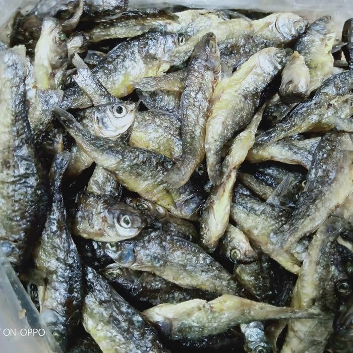 

Ikan Danau Bilih/Ikan Danau bilis